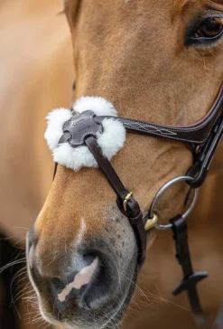 HORSE HEALTH TRADE LeMieux® Kudos Figure-8 Bridle