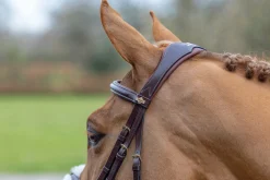 HORSE HEALTH TRADE LeMieux® Kudos Figure-8 Bridle
