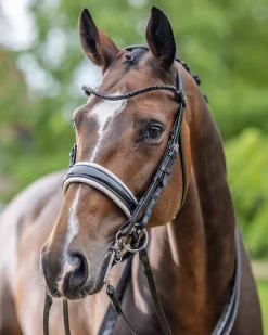 HORSE HEALTH TRADE LeMieux® Kudos Patent Double Bridle