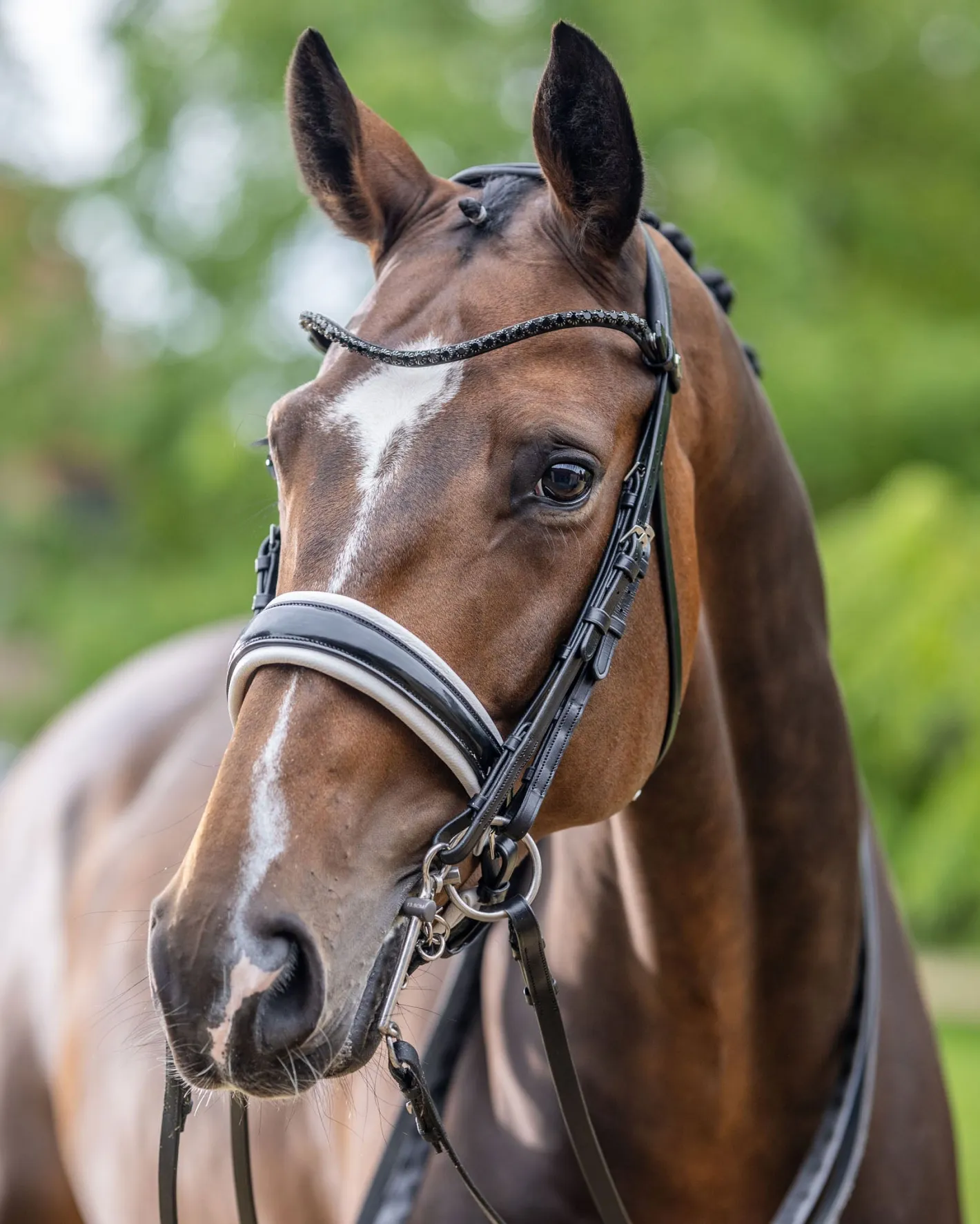 HORSE HEALTH TRADE LeMieux® Kudos Patent Double Bridle