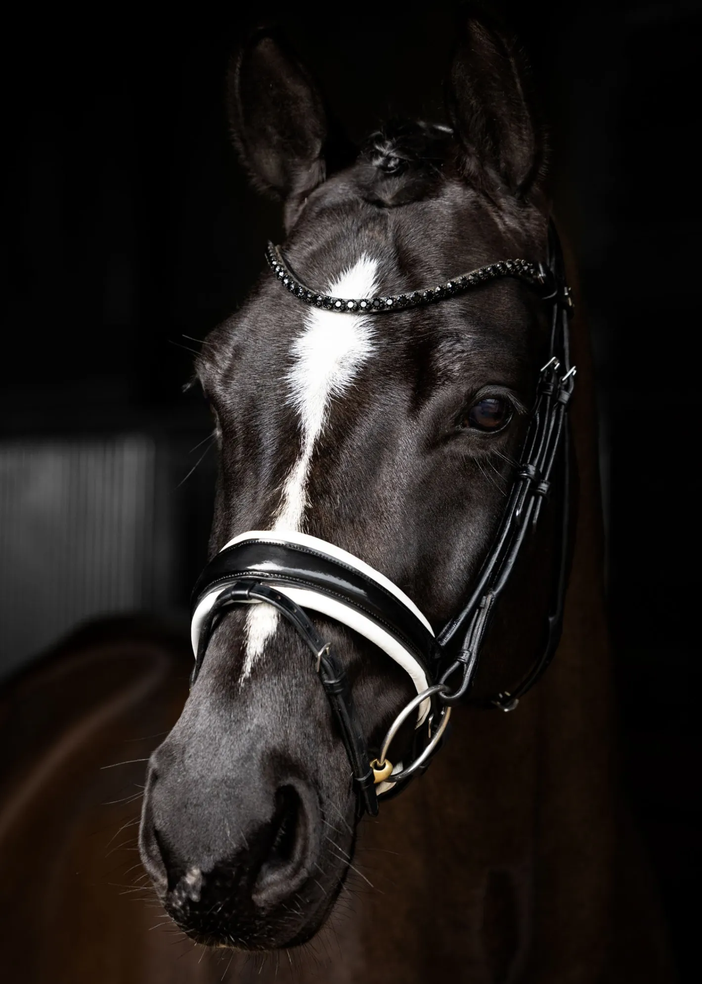 HORSE HEALTH TRADE LeMieux® Kudos Patent Leather Dressage Bridle