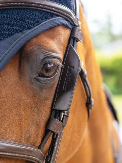 HORSE HEALTH TRADE LeMieux® Leather Bridle Blinkers