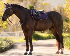HORSE HEALTH TRADE LeMieux® Loire Classic Close Contact Saddle Pad