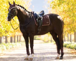 HORSE HEALTH TRADE LeMieux® Loire Classic Dressage Saddle Pad
