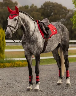 HORSE HEALTH TRADE LEMIEUX® LOIRE GP SADDLE PAD