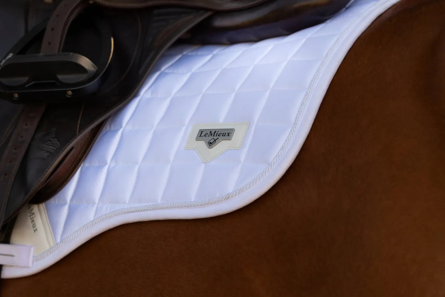 HORSE HEALTH TRADE LEMIEUX® LOIRE GP SADDLE PAD