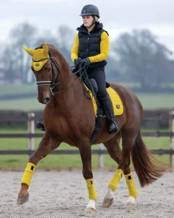 HORSE HEALTH TRADE LeMieux® Loire Satin Polo Bandages