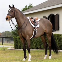 HORSE HEALTH TRADE LeMieux® Merino+ Hunter Saddle Pad