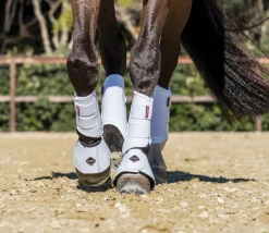 HORSE HEALTH TRADE LeMieux® ProShell Brushing Boots
