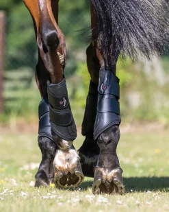 HORSE HEALTH TRADE LeMieux® ProShell Brushing Boots