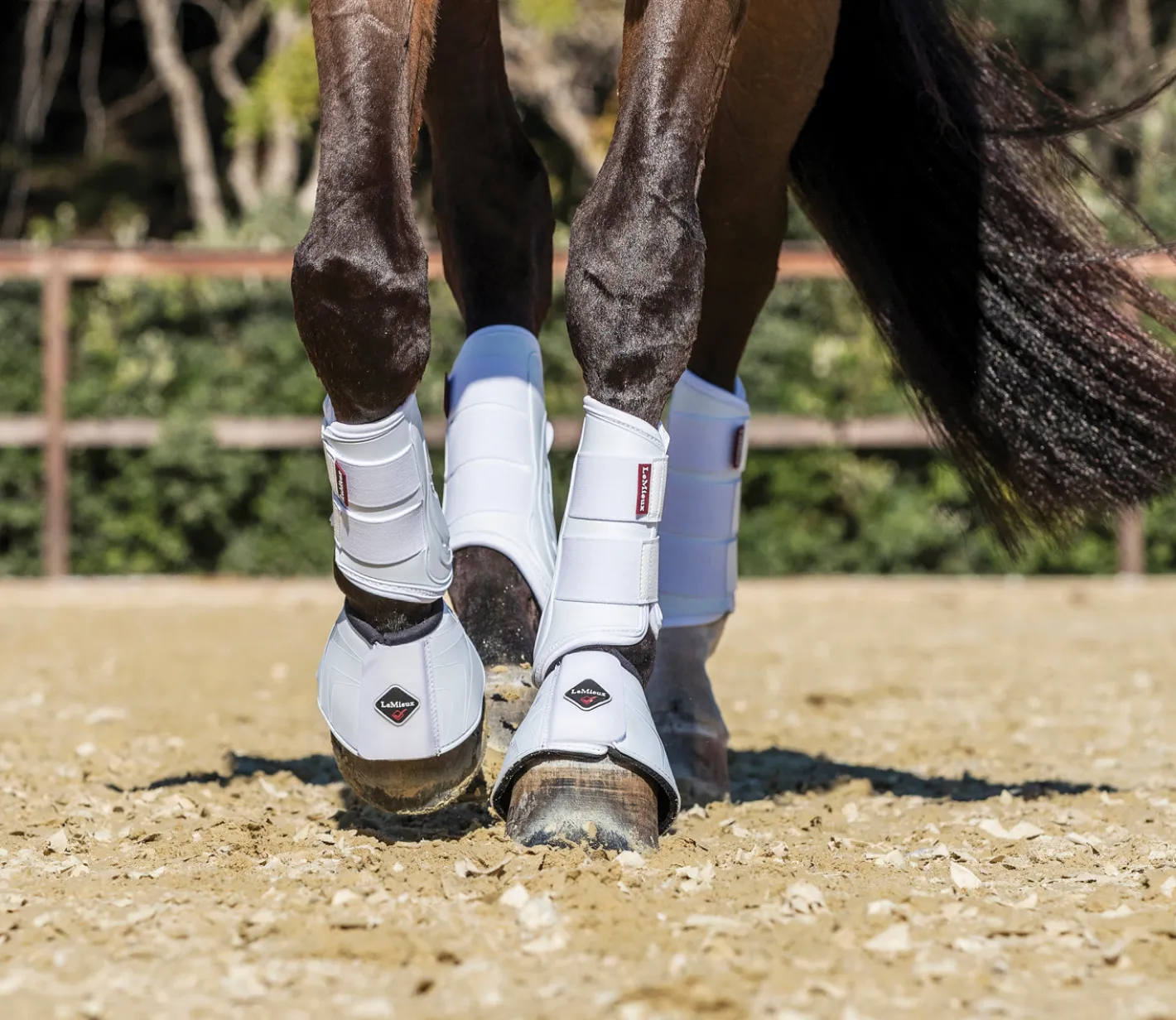 HORSE HEALTH TRADE LeMieux® ProShell Overreach Boots