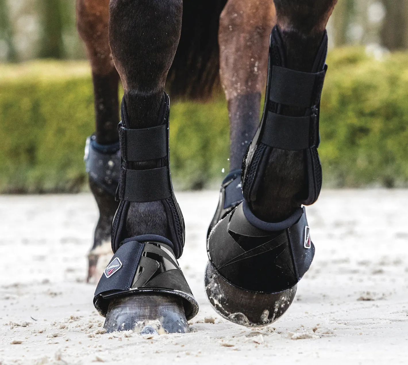 HORSE HEALTH TRADE LeMieux® ProShell Overreach Boots