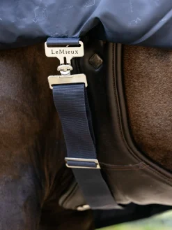 HORSE HEALTH TRADE LeMieux™ Rain Sheet