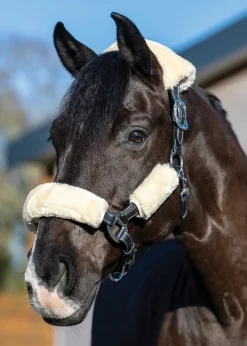 HORSE HEALTH TRADE LeMieux® Simuwool 4-Piece Halter Set