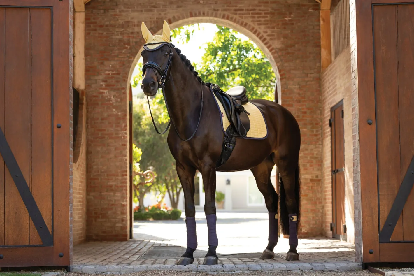 HORSE HEALTH TRADE LeMieux® Suede Dressage Pad