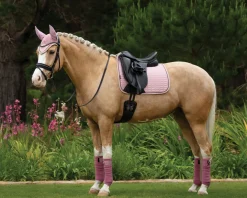 HORSE HEALTH TRADE LeMieux® Suede Dressage Pad
