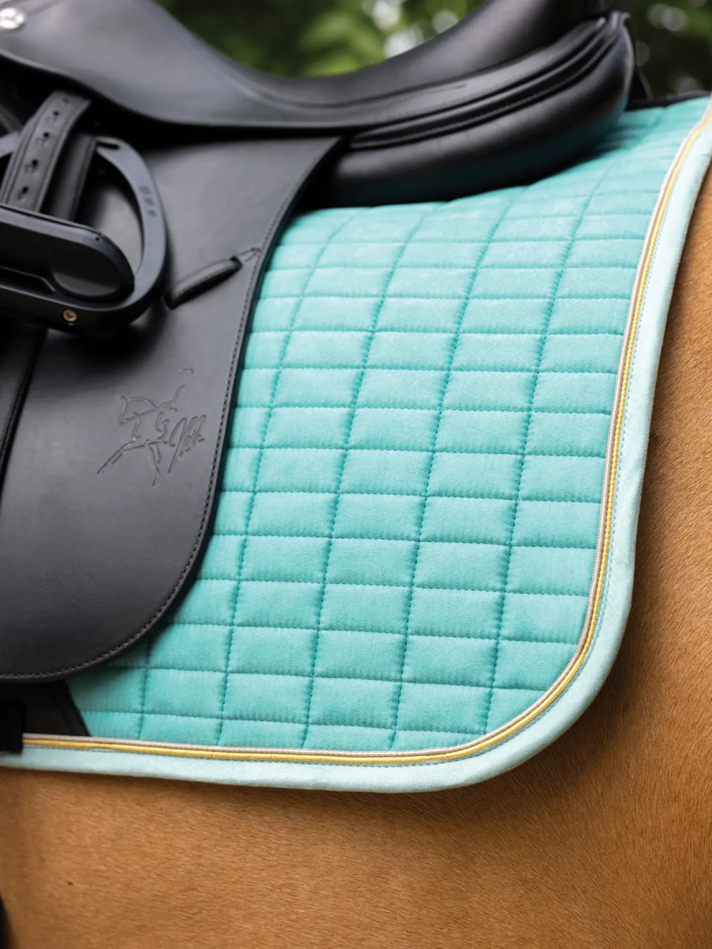 HORSE HEALTH TRADE LeMieux® Suede Dressage Pad
