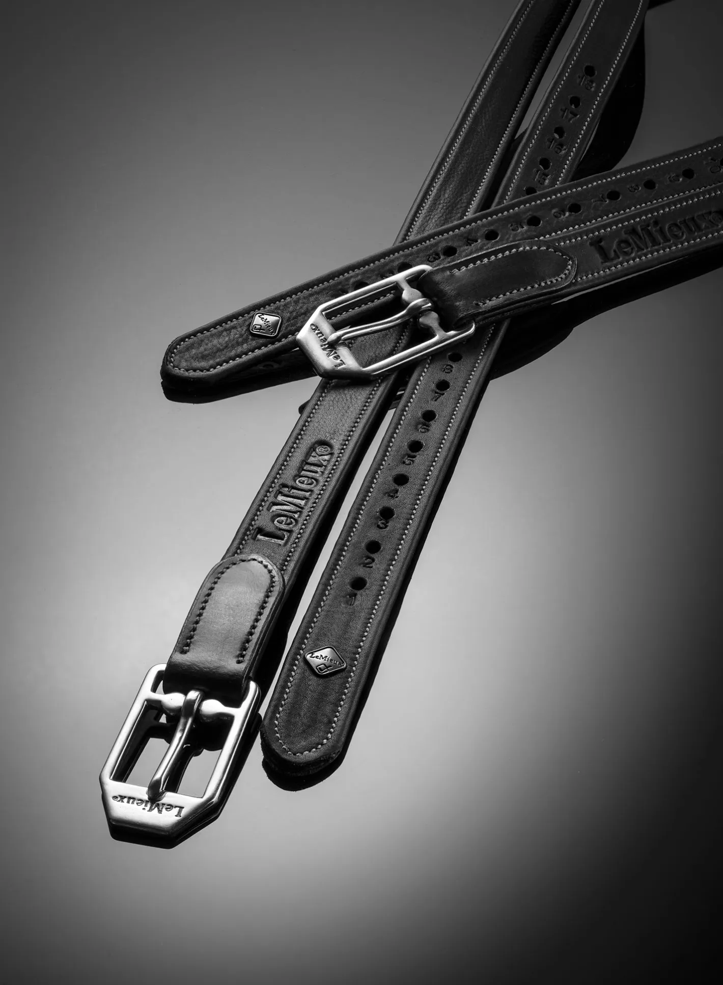 HORSE HEALTH TRADE LeMieux® Vector Stirrup Leathers