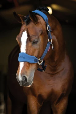 HORSE HEALTH TRADE LeMieux® Vogue Halter & Lead Rope Set