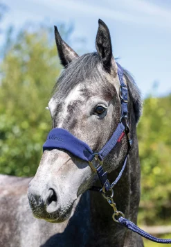 HORSE HEALTH TRADE LeMieux® Vogue Halter & Rope Lead Set