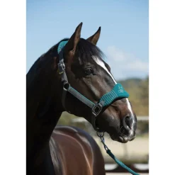 HORSE HEALTH TRADE LeMieux® Vogue Halter & Rope Lead Set