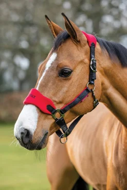 HORSE HEALTH TRADE LeMieux® Vogue Halter & Rope Lead Set