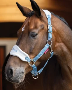 HORSE HEALTH TRADE LeMieux® Vogue Halter & Rope Lead Set