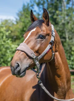 HORSE HEALTH TRADE LeMieux® Vogue Halter & Rope Lead Set