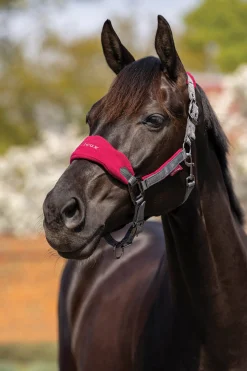HORSE HEALTH TRADE LeMieux® Vogue Halter & Rope Lead Set