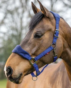 HORSE HEALTH TRADE LeMieux® Vogue Halter & Rope Lead Set