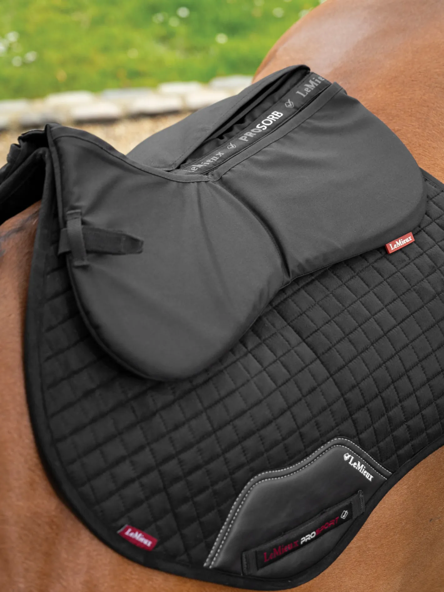 HORSE HEALTH TRADE LeMieux® ProSorb Plain 2-Pocket Half Pad