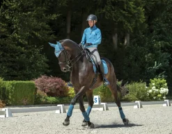 HORSE HEALTH TRADE LeMieux® Suede Dressage Square Pad
