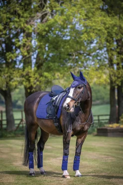 HORSE HEALTH TRADE LeMieux® Suede Dressage Square Pad