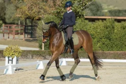HORSE HEALTH TRADE LeMieux® Suede Dressage Square Pad