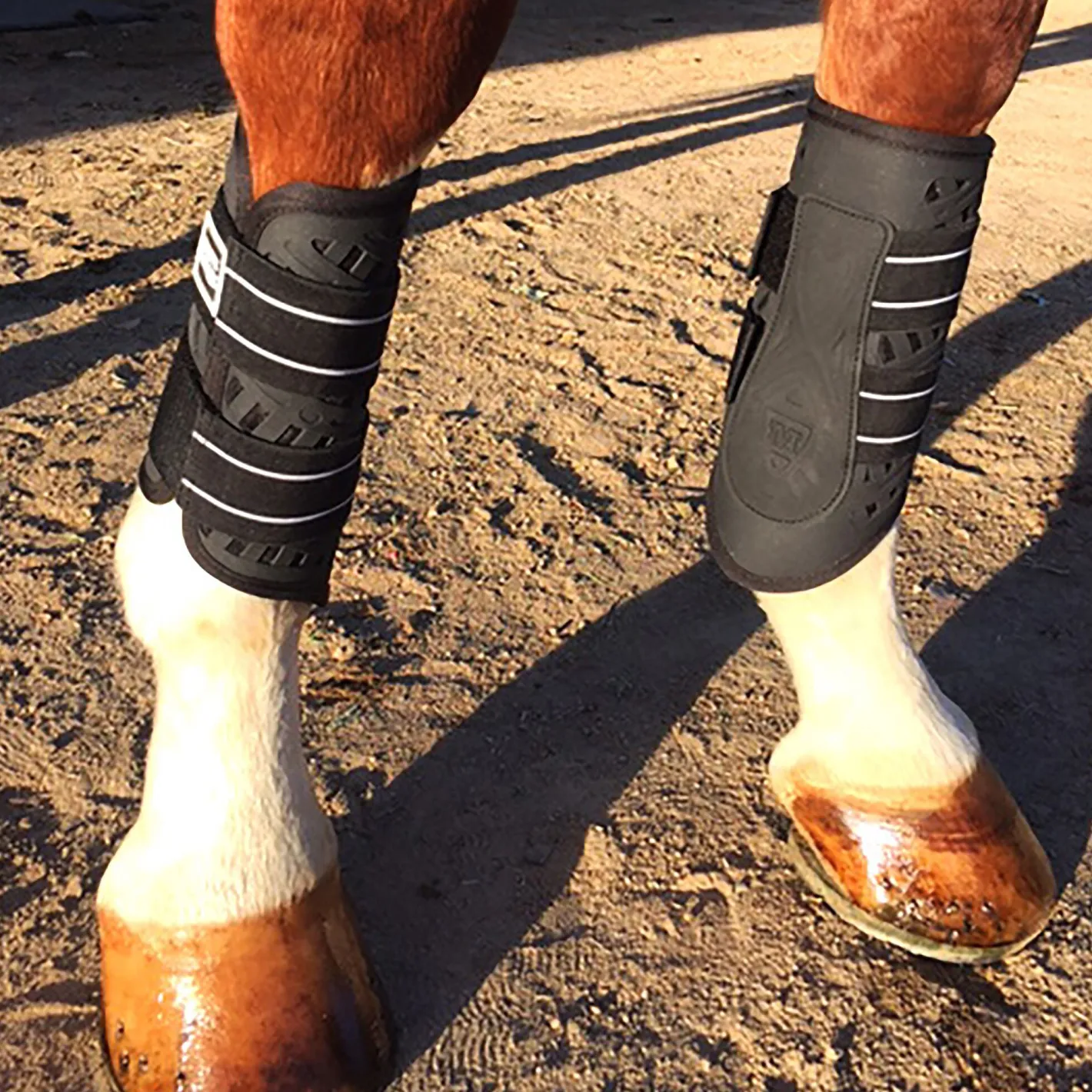 MAJYK EQUIPE ® Sport/Dressage Front Boots with Arti-Lage™ Impact Technology