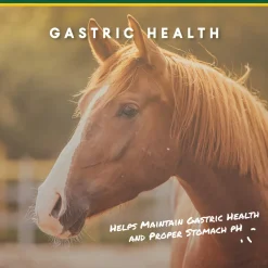 ANIMAL HEALTH INT Manna Pro® Corta-Flx® U-Gard™ Pellets, 4 Pounds