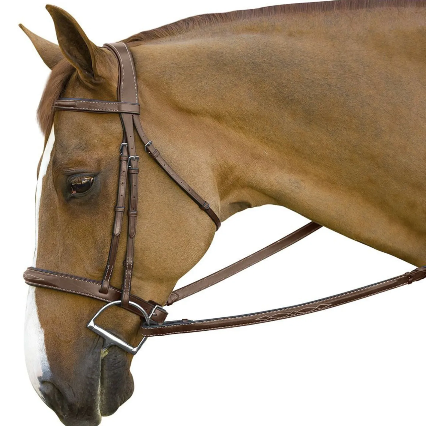 INT RIDING HELMET Marcel Toulouse Brunello Handy Hunter Bridle