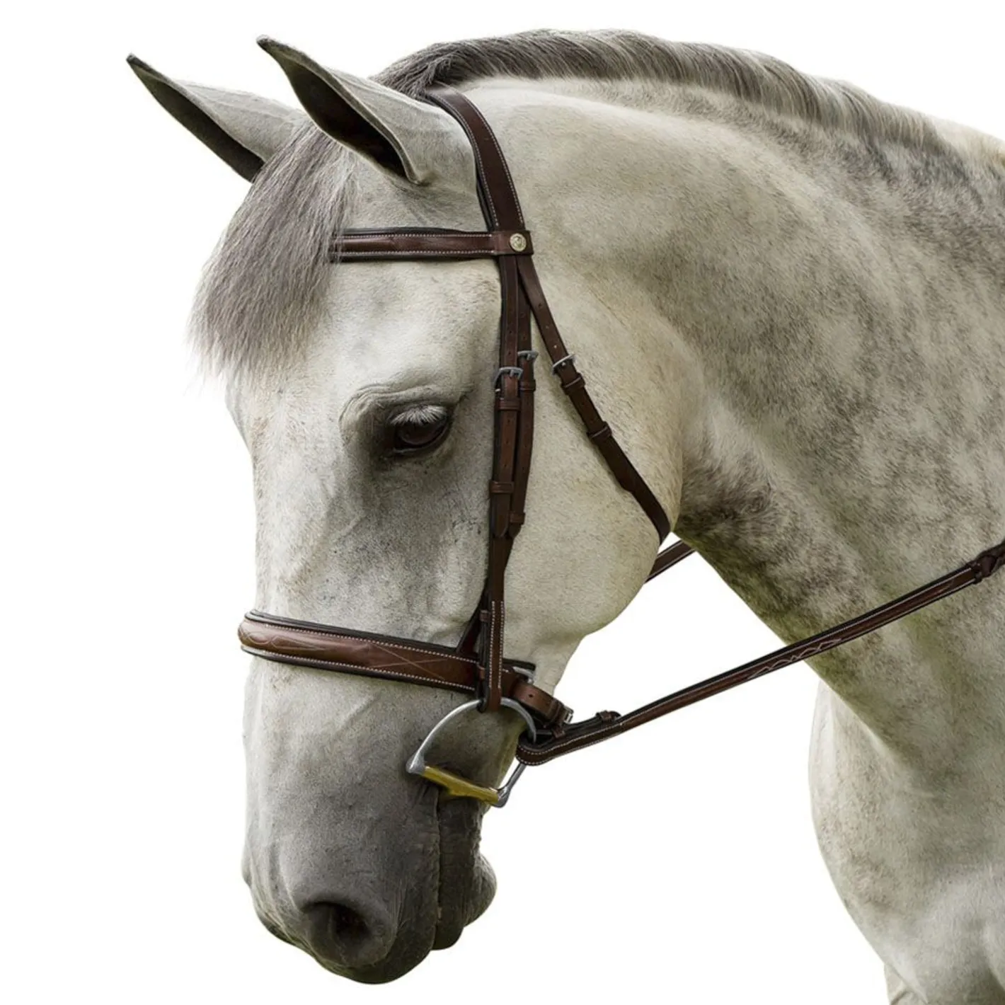 INT RIDING HELMET Marcel Toulouse Platinum Liza Hunter Derby Bridle