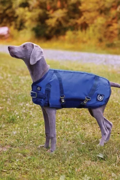 CWEAR BRANCH NorthWind™ Dog Turnout Blanket