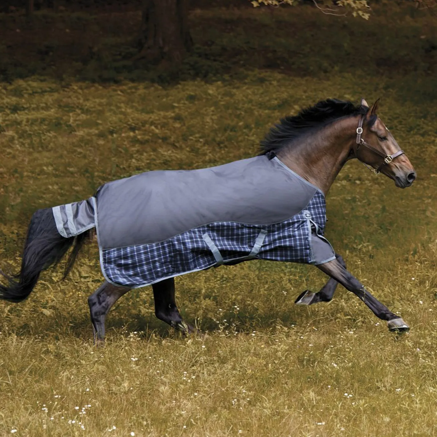 CWEAR BRANCH NorthWind™ Heavyweight Turnout Blanket