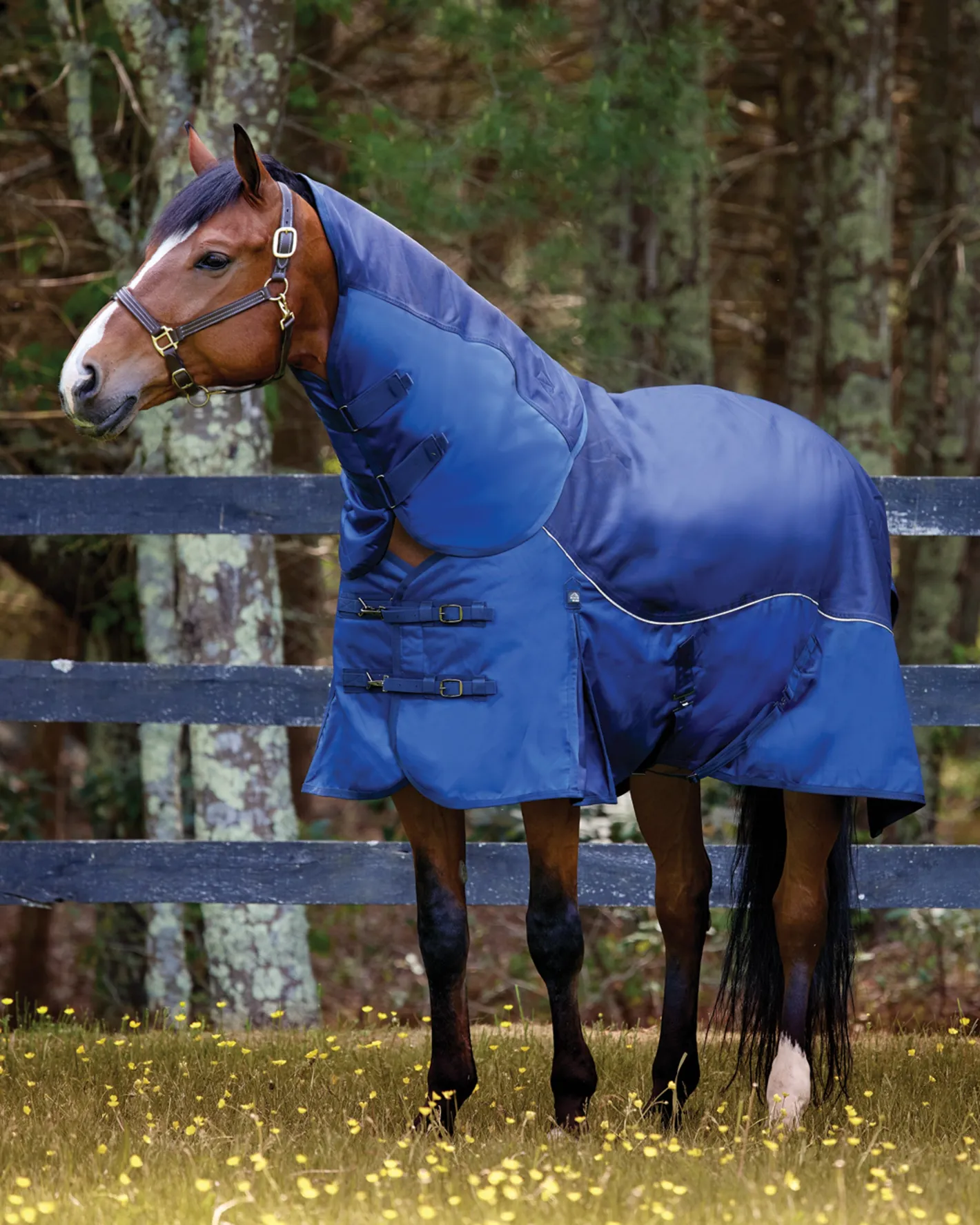 CWEAR BRANCH NorthWind™ Heavyweight Turnout Blanket