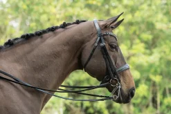 OTTO SCHUMACHER Tiffany Double Bridle