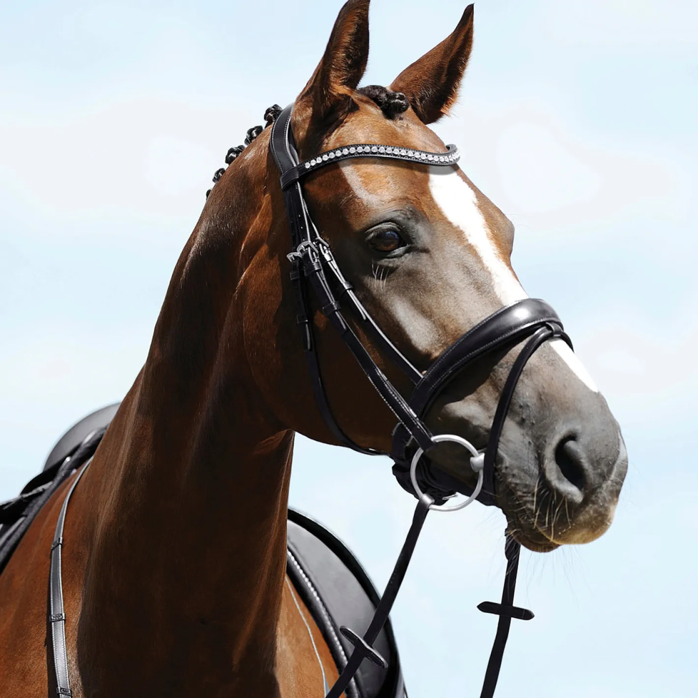 GEM-PASSIER Passier® Atlas Snaffle Bridle