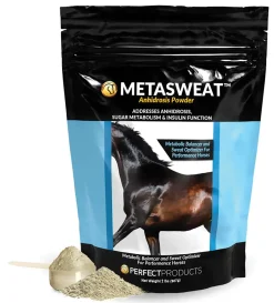 PERFECT PRODUCTS MetaSweat™ Anhidrosis Powder