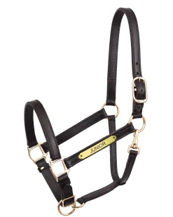 PERRIS LEATHER Perri’s® 1" Leather Turnout Halter with Nameplate