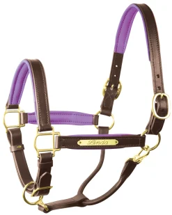 PERRIS LEATHER Perri’s® 1" Padded Leather Halter with Nameplate