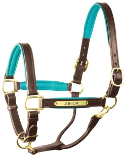 PERRIS LEATHER Perri’s® 1