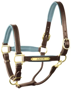 PERRIS LEATHER Perri’s® 1