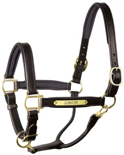 PERRIS LEATHER Perri’s® 1
