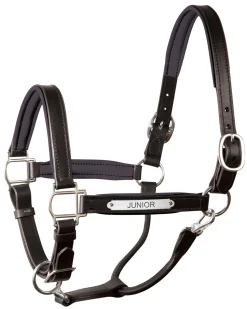 PERRIS LEATHER Perri’s® 1